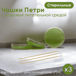 Petri Dish with agar