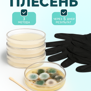 Проверить воздух на плесень