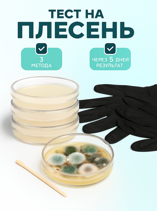 Проверить воздух на плесень